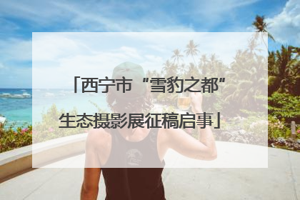 西宁市“雪豹之都”生态摄影展征稿启事