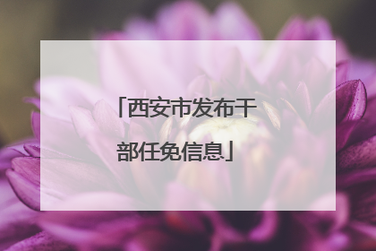 西安市发布干部任免信息