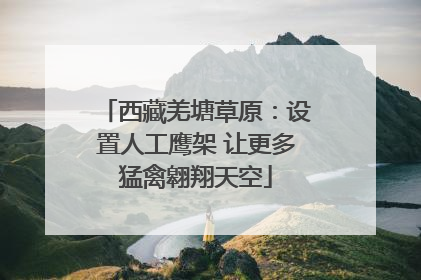 西藏羌塘草原：设置人工鹰架 让更多猛禽翱翔天空