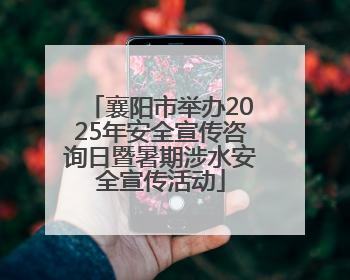 襄阳市举办2025年安全宣传咨询日暨暑期涉水安全宣传活动