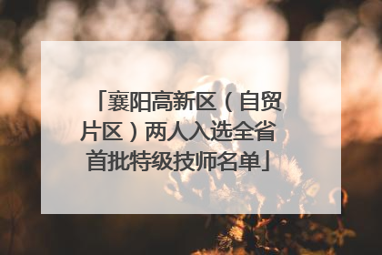 襄阳高新区（自贸片区）两人入选全省首批特级技师名单