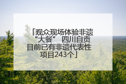 观众现场体验非遗“大餐” 四川自贡目前已有非遗代表性项目243个