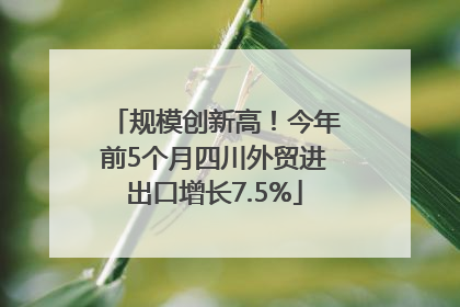 规模创新高！今年前5个月四川外贸进出口增长7.5%
