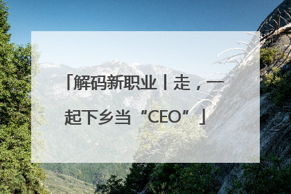 解码新职业丨走，一起下乡当“CEO”
