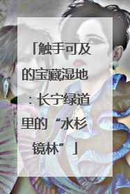 触手可及的宝藏湿地：长宁绿道里的“水杉镜林”