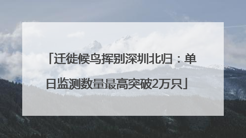 迁徙候鸟挥别深圳北归：单日监测数量最高突破2万只