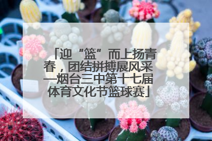迎“篮”而上扬青春，团结拼搏展风采—烟台三中第十七届体育文化节篮球赛