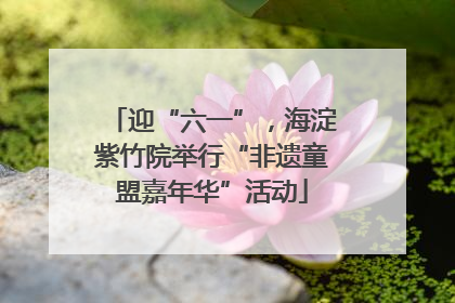 迎“六一”，海淀紫竹院举行“非遗童盟嘉年华”活动
