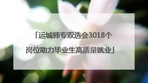 运城师专双选会3018个岗位助力毕业生高质量就业