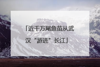 近千万尾鱼苗从武汉“游进”长江