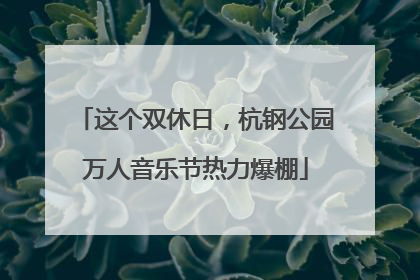 这个双休日，杭钢公园万人音乐节热力爆棚