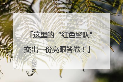 这里的“红色警队”交出一份亮眼答卷！