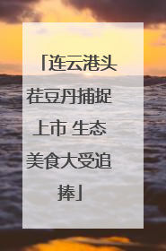 连云港头茬豆丹捕捉上市 生态美食大受追捧