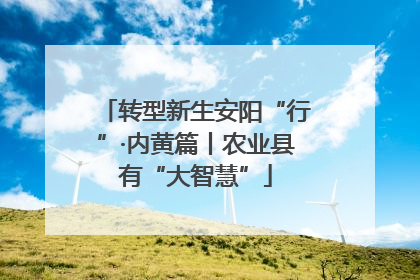 转型新生安阳“行”·内黄篇丨农业县有“大智慧”
