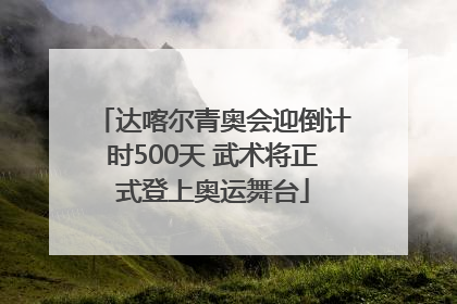 达喀尔青奥会迎倒计时500天 武术将正式登上奥运舞台