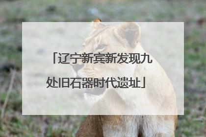 辽宁新宾新发现九处旧石器时代遗址