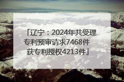 辽宁：2024年共受理专利预审请求7468件 获专利授权4213件