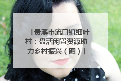 贵溪市流口镇细叶村：盘活闲置资源助力乡村振兴（图）