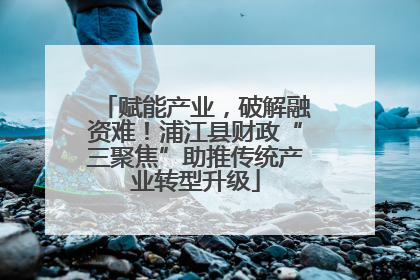 赋能产业，破解融资难！浦江县财政“三聚焦”助推传统产业转型升级