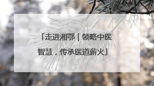 走进湘鄂｜领略中医智慧，传承医道薪火