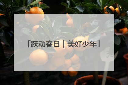 跃动春日｜美好少年