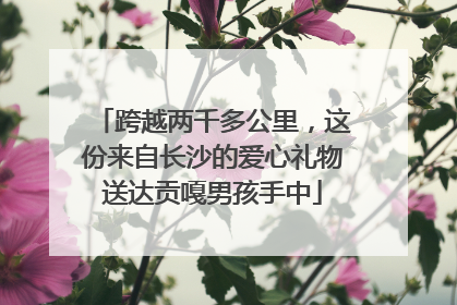 跨越两千多公里，这份来自长沙的爱心礼物送达贡嘎男孩手中