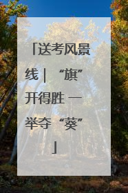 送考风景线｜“旗”开得胜 一举夺“葵”
