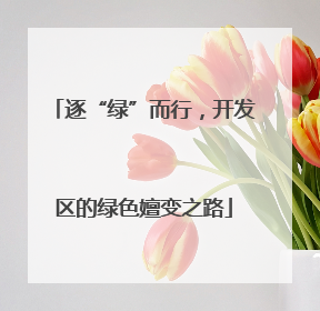 逐“绿”而行，开发区的绿色嬗变之路