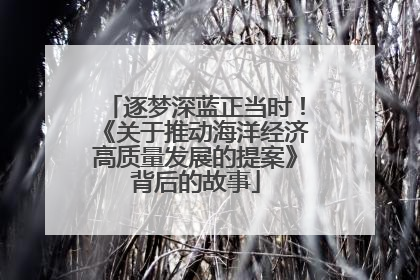 逐梦深蓝正当时！《关于推动海洋经济高质量发展的提案》背后的故事