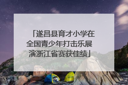遂昌县育才小学在全国青少年打击乐展演浙江省赛获佳绩
