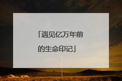 遇见亿万年前的生命印记