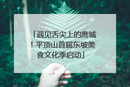 遇见舌尖上的鹰城！平顶山首届东坡美食文化季启动