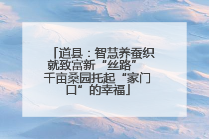 道县：智慧养蚕织就致富新“丝路” 千亩桑园托起“家门口”的幸福