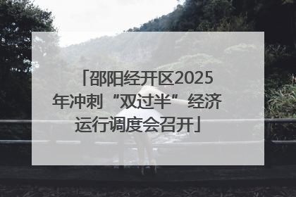 邵阳经开区2025年冲刺“双过半”经济运行调度会召开