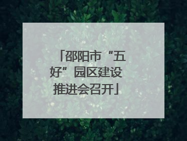 邵阳市“五好”园区建设推进会召开