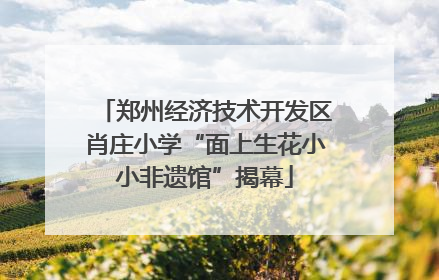 郑州经济技术开发区肖庄小学“面上生花小小非遗馆”揭幕