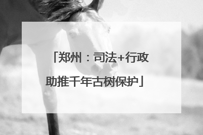 郑州：司法+行政助推千年古树保护