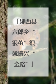 郧西县六郎乡“银茧”织就振兴“金路”