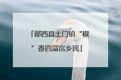 郧西县土门镇“椒”香四溢富乡民