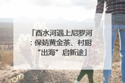 酉水河遇上尼罗河：保靖黄金茶、村厨“出海”启新途