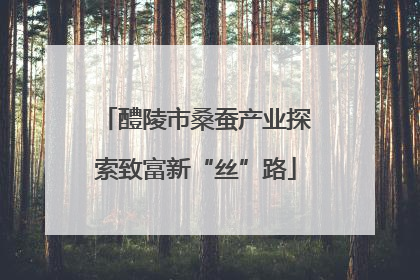 醴陵市桑蚕产业探索致富新“丝”路