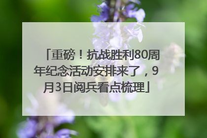 重磅！抗战胜利80周年纪念活动安排来了，9月3日阅兵看点梳理