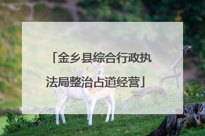 金乡县综合行政执法局整治占道经营
