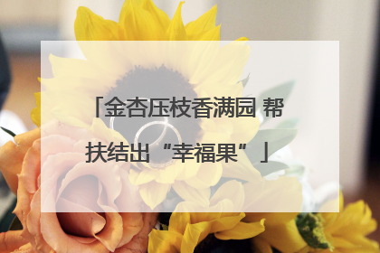金杏压枝香满园 帮扶结出“幸福果”
