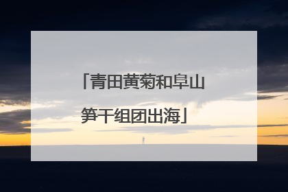 青田黄菊和阜山笋干组团出海
