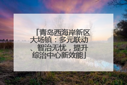 青岛西海岸新区大场镇：多元联动、智治无忧，提升综治中心新效能