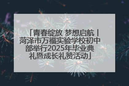青春绽放 梦想启航丨菏泽市万福实验学校初中部举行2025年毕业典礼暨成长礼赞活动