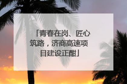 青春在岗、匠心筑路，济商高速项目建设正酣