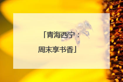 青海西宁：周末享书香