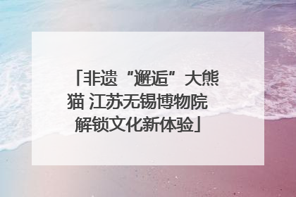 非遗“邂逅”大熊猫 江苏无锡博物院解锁文化新体验